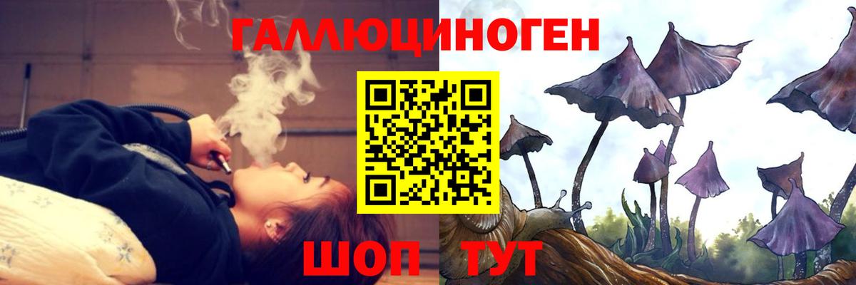 Галлюциногенные грибы GOLDEN TEACHER  цены   Йошкар-Ола  Вход с VPN 